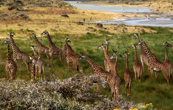 Arusha National Park
